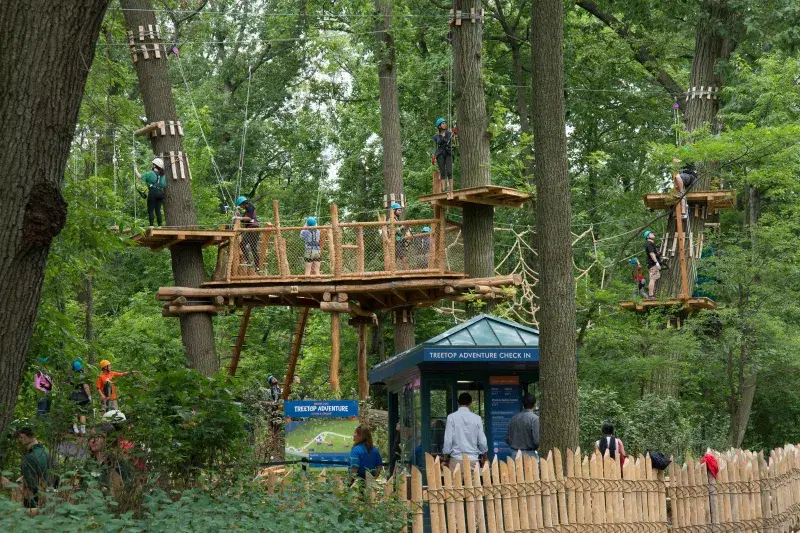 Bronx_Zoo_Treetop_Adventure_Bronx_NYC_Brittany_Petronella_NYC_and_Company_0103_5cc49741-a42c-40d9-897c-f8eaef4d20e0.jpg